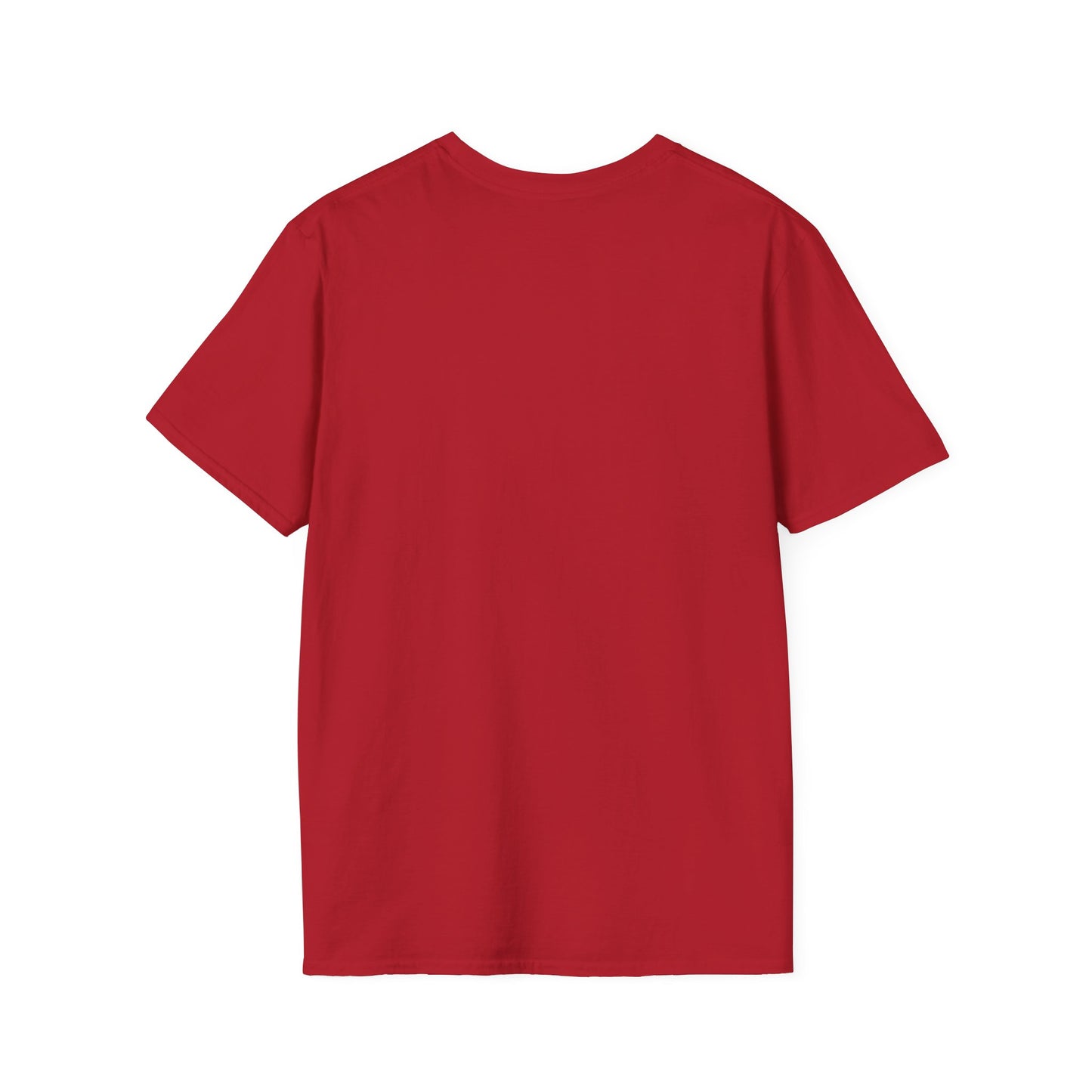 In My 60's Era  - 60th Birthday T-Shirt