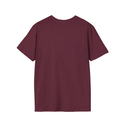 In My 60's Era  - 60th Birthday T-Shirt