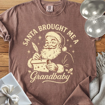 Santa Brought Me a Grandbaby - Premium Christmas T-Shirt