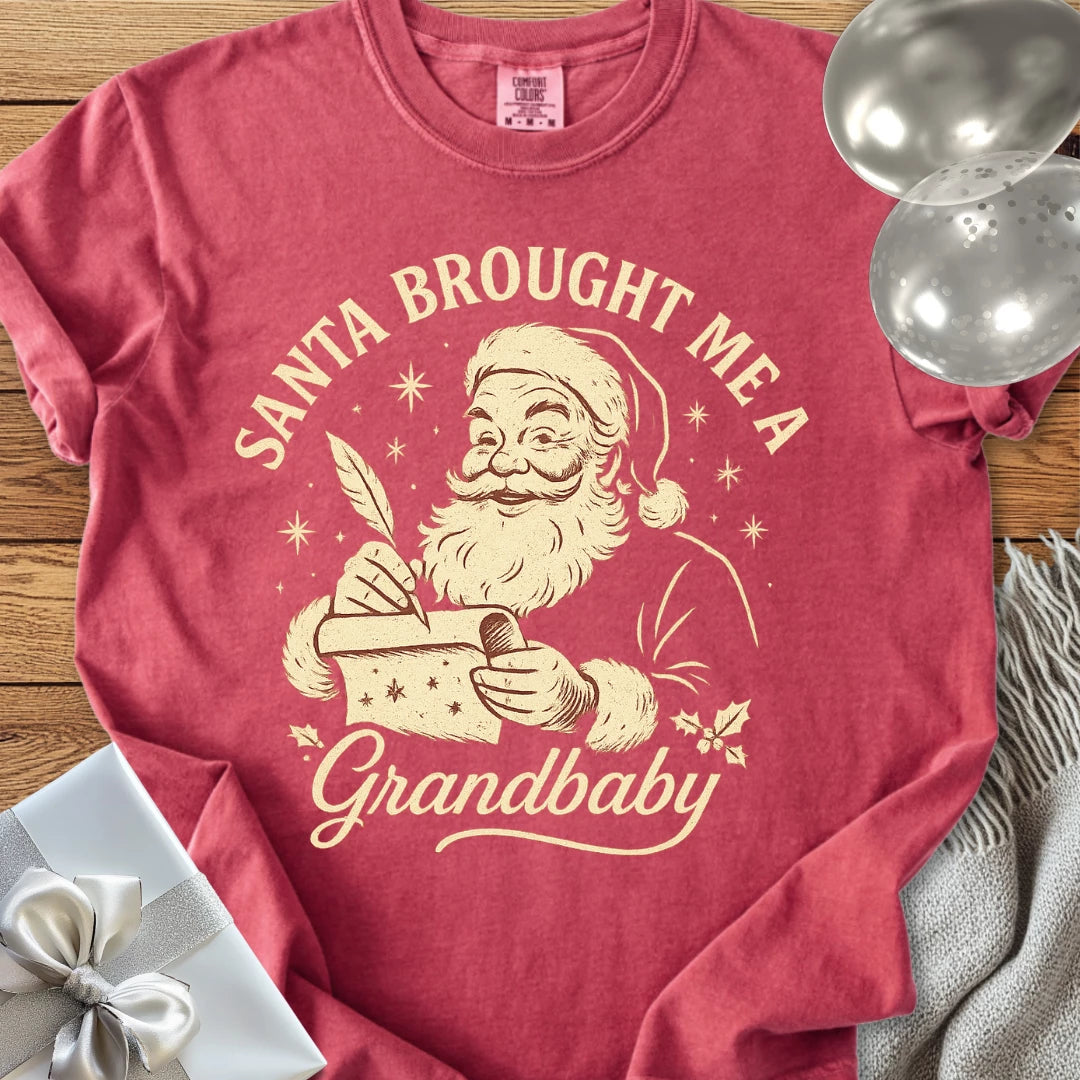 Santa Brought Me a Grandbaby - Premium Christmas T-Shirt