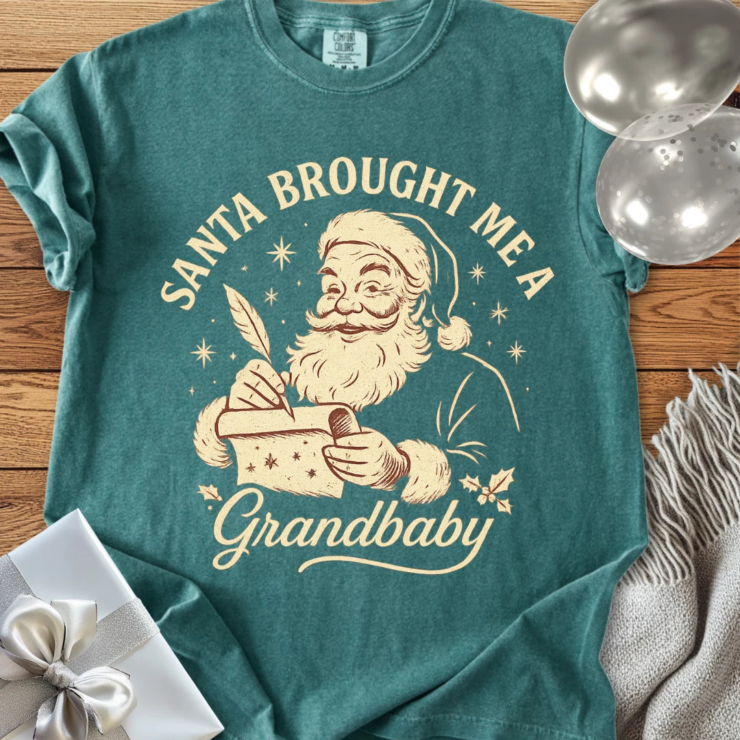 Santa Brought Me a Grandbaby - Premium Christmas T-Shirt