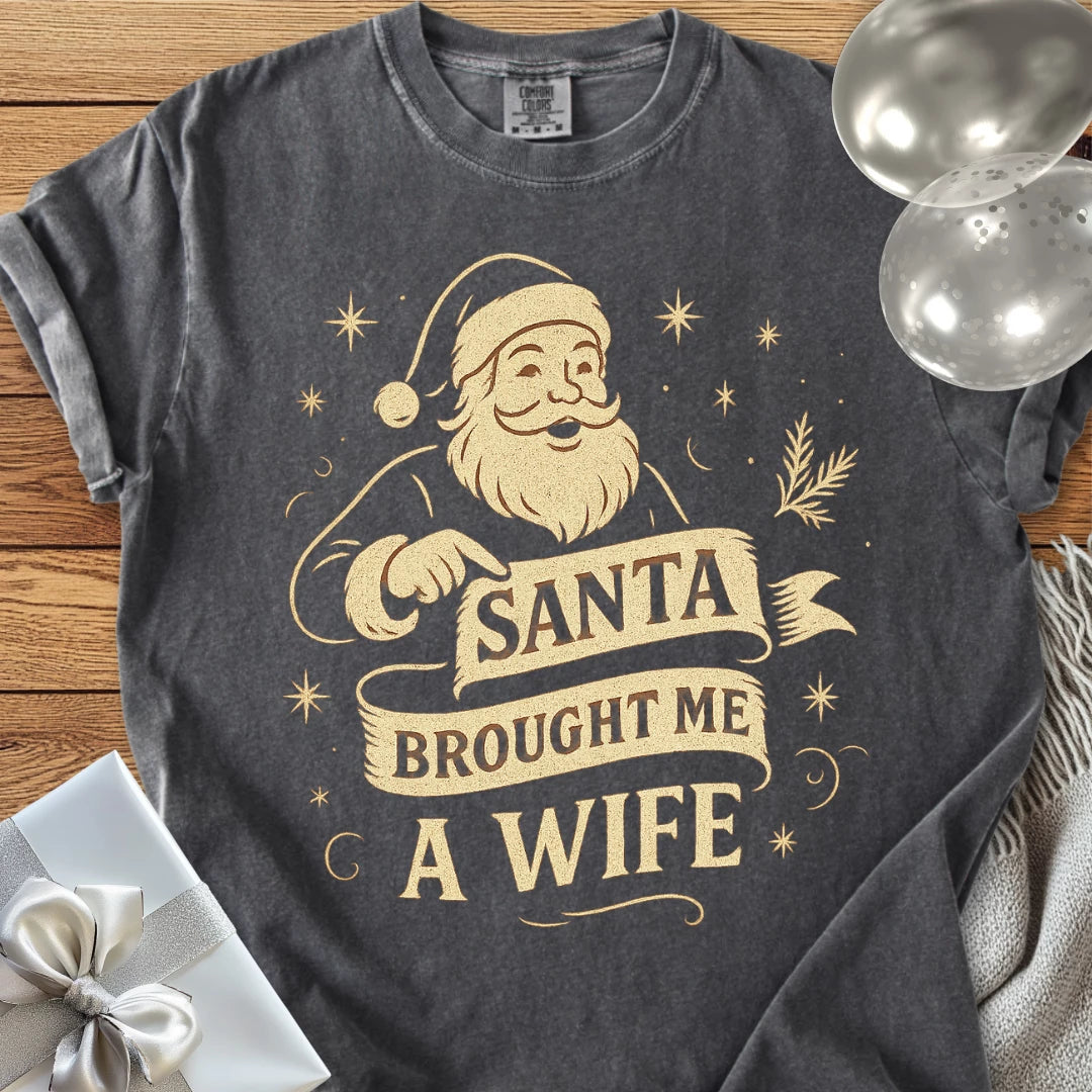 Santa Brought Me a Wife- Premium Christmas T-Shirt