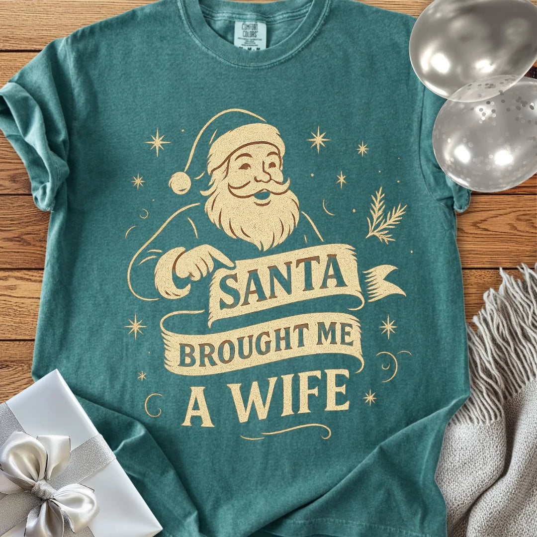 Santa Brought Me a Wife- Premium Christmas T-Shirt