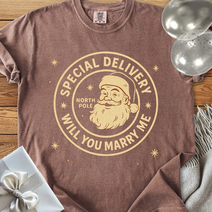 Special Delivery North Pole, Will You Marry Me? - Premium Christmas Proposal T-Shirt
